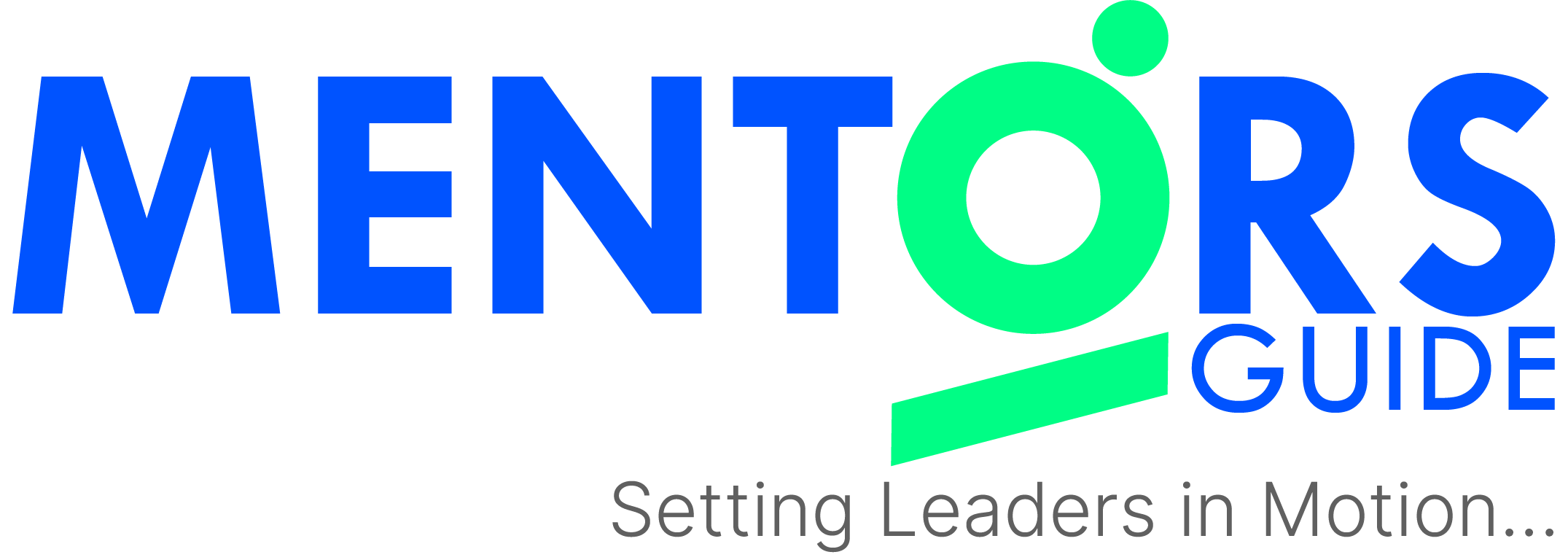 The Mentors Guide